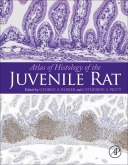 Atlas of Histology of the Juvenile Rat 