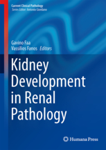 Kidney Development in Renal Pathology 