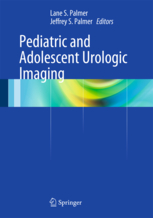 Pediatric and Adolescent Urologic Imaging 