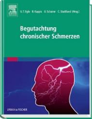 Begutachtung chronischer Schmerzen 