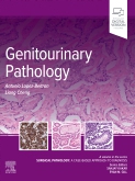 Genitourinary Pathology 