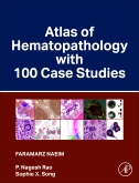 Atlas of Hematopathology with 100 Case Studies 