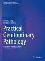 Practical Genitourinary Pathology 