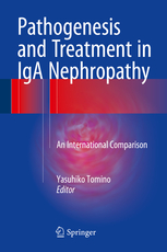 Pathogenesis and Treatment in IgA Nephropathy 