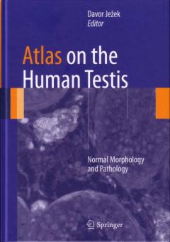 Atlas on the Human Testis: Normal Morphology and Pathology 