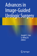 Advances in Image-Guided Urologic Surgery 