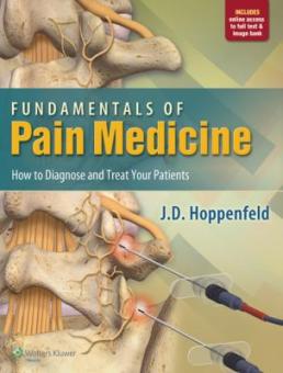 Fundamentals of Pain Medicine 