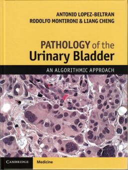 Pathology of the Urinary Bladder 