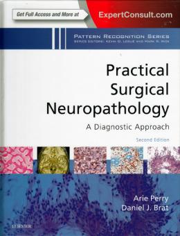 Practical Surgical Neuropathology: A Diagnostic Approach 