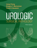 Urologic Surgical Pathology 