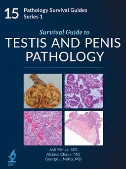 Survival Guide to Testis and Penis 
